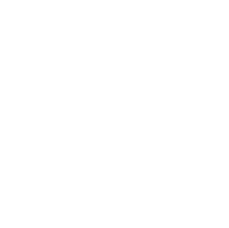Profesjonalna Liga MMA