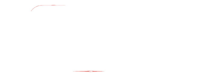 Solo Combat Federation